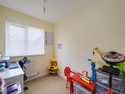 Picture 13